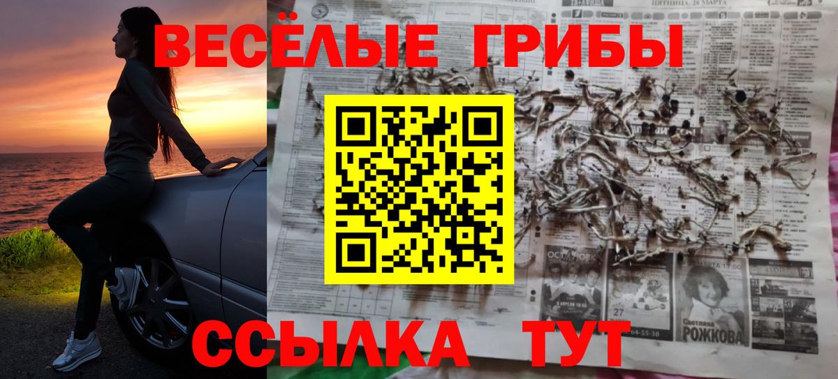 Псилоцибиновые грибы ЛСД Волгодонск